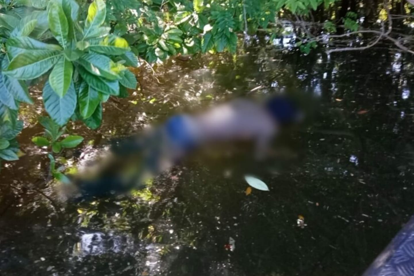 Corpo de pescador é encontrado boiando em lago no sudoeste do Pará