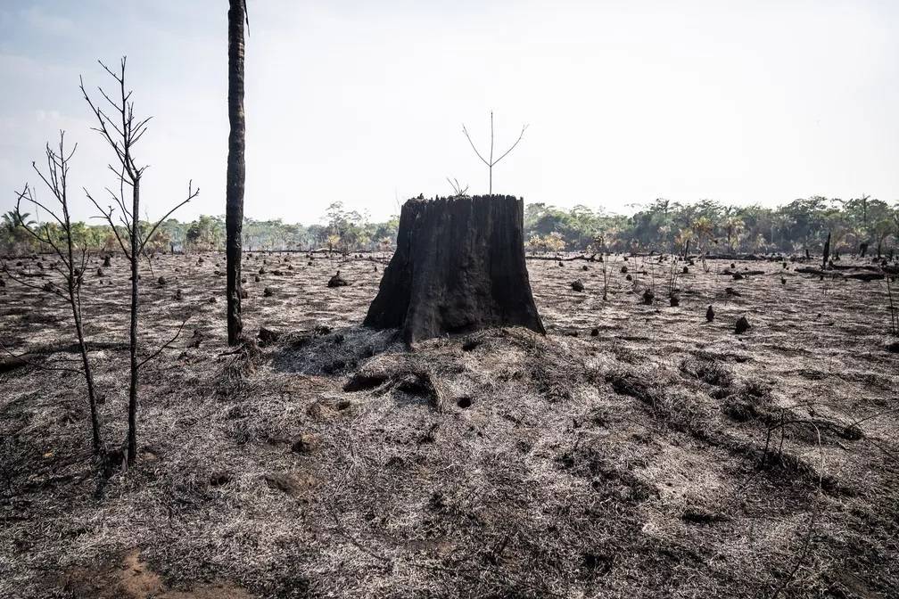 Altamira, no Pará, é o município que mais emite carbono no Brasil