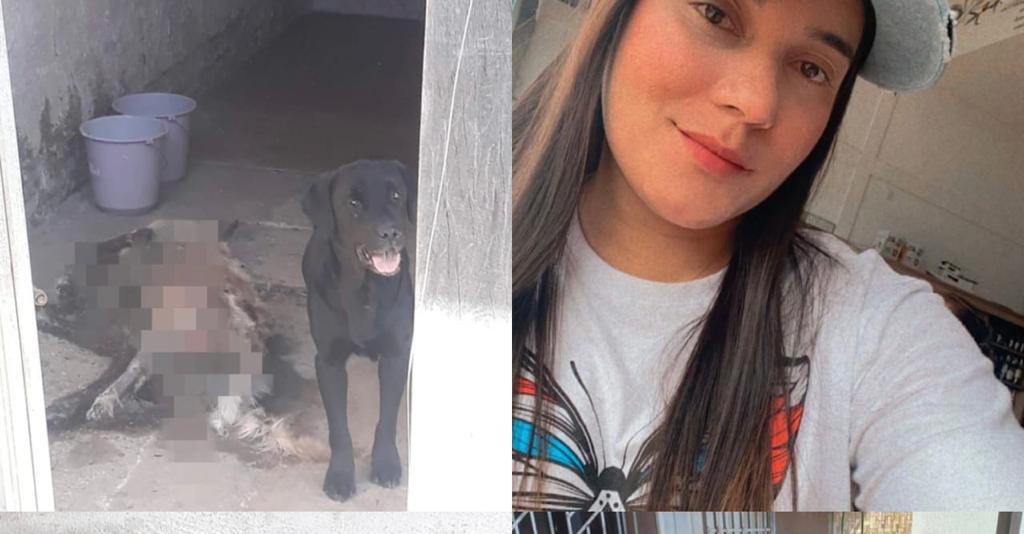 Técnica de enfermagem é presa por maus-tratos a animais em Parauapebas