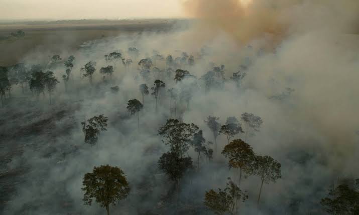 Delegação do Tribunal Internacional da Natureza desembarca em Marabá