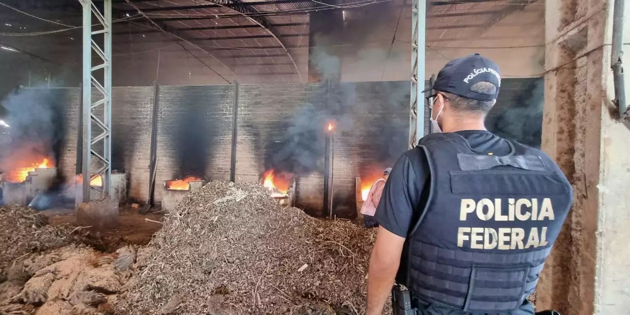 PF incinera cerca de duas toneladas de drogas no nordeste do Pará