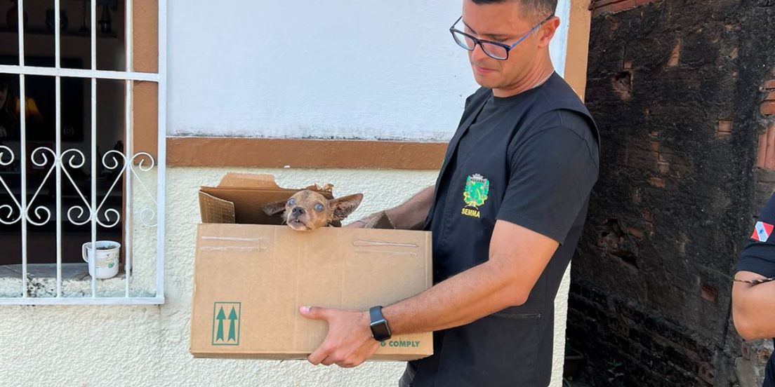 Semma resgata cachorro após denúncia de maus-tratos, em Marabá