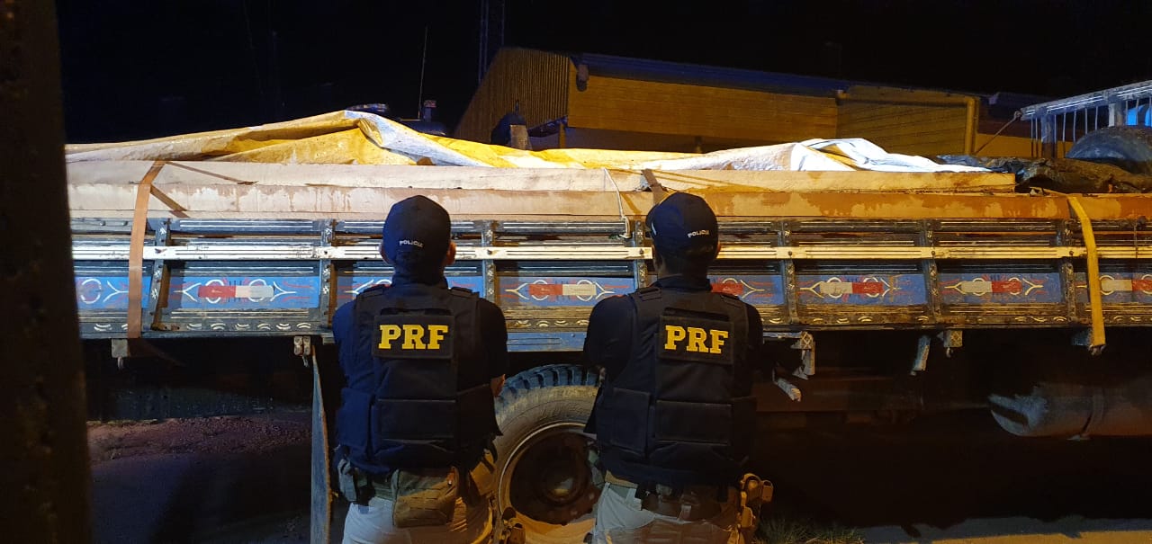 PRF apreende madeira sendo transportada irregularmente no oeste do Pará