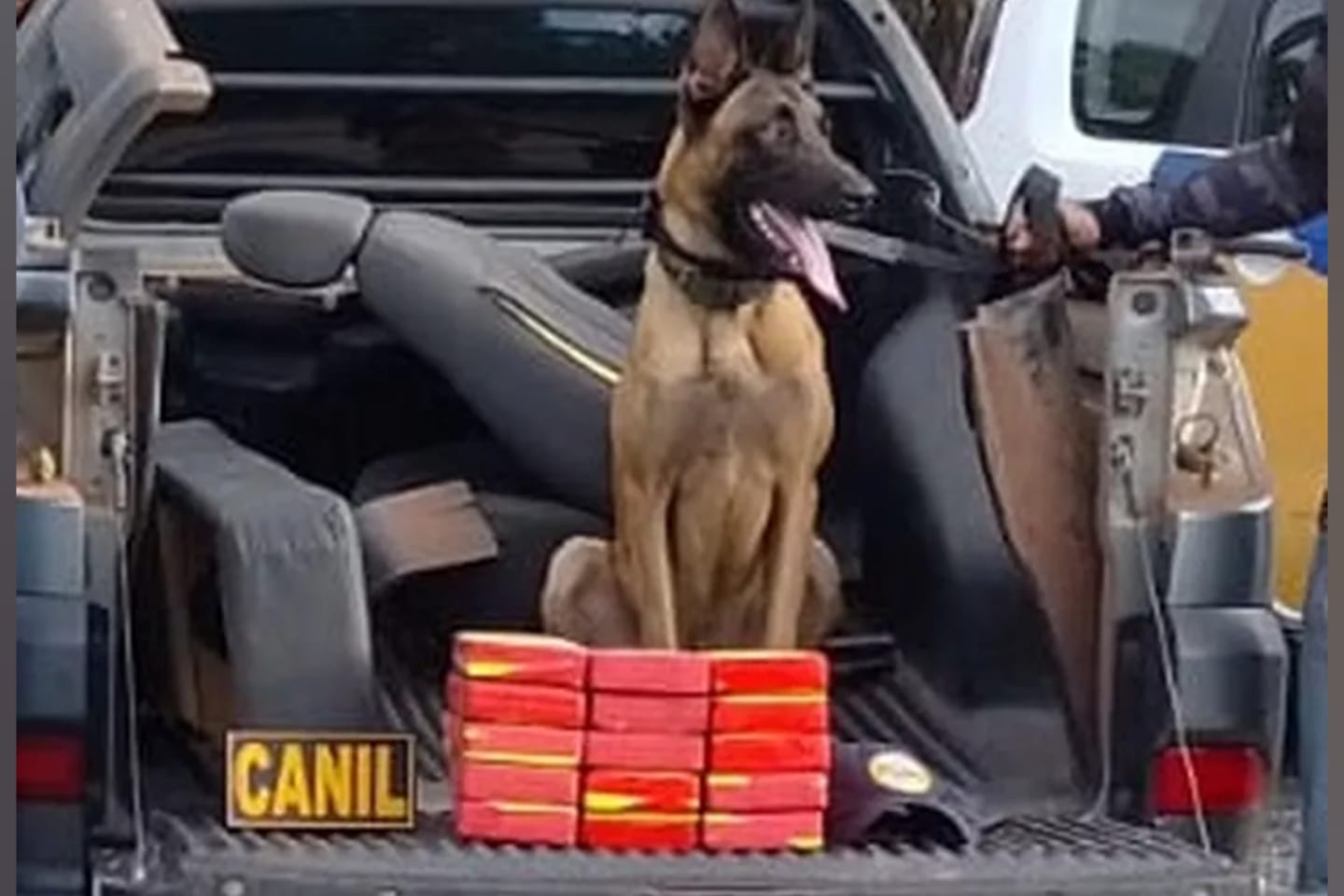 Com ajuda de cão farejador, PRF encontra droga escondida em carro no Pará