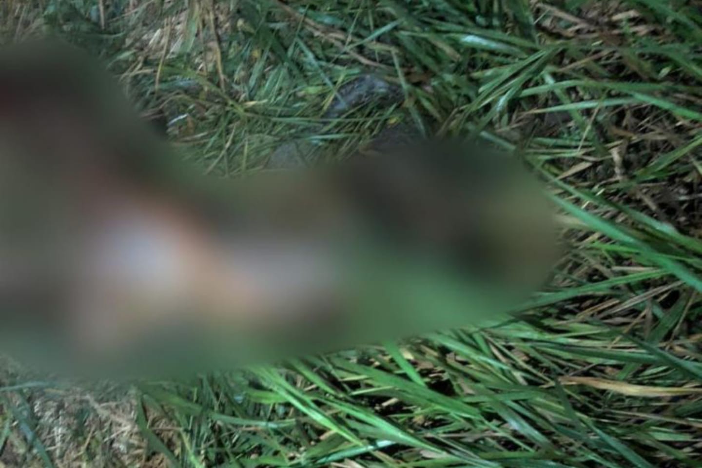 Corpo de adolescente é encontrado queimado no sudoeste do Pará