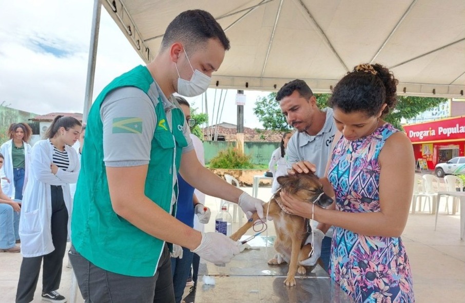 Dia Mundial das Zoonoses alerta para cuidados com animais
