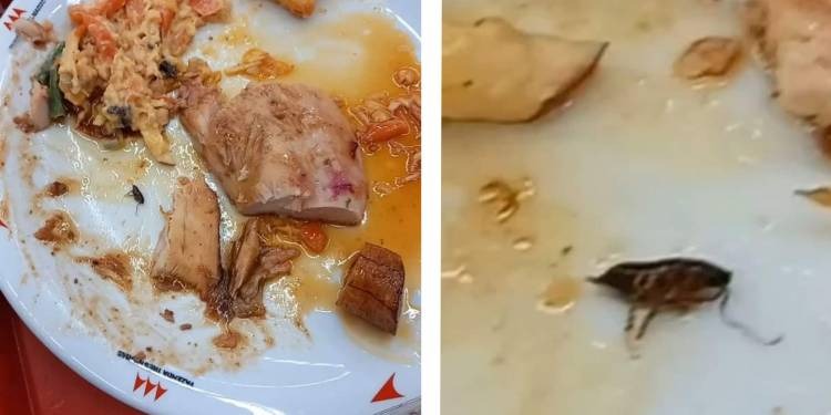 Consumidor encontra barata em refeição no Supermercado Líder
