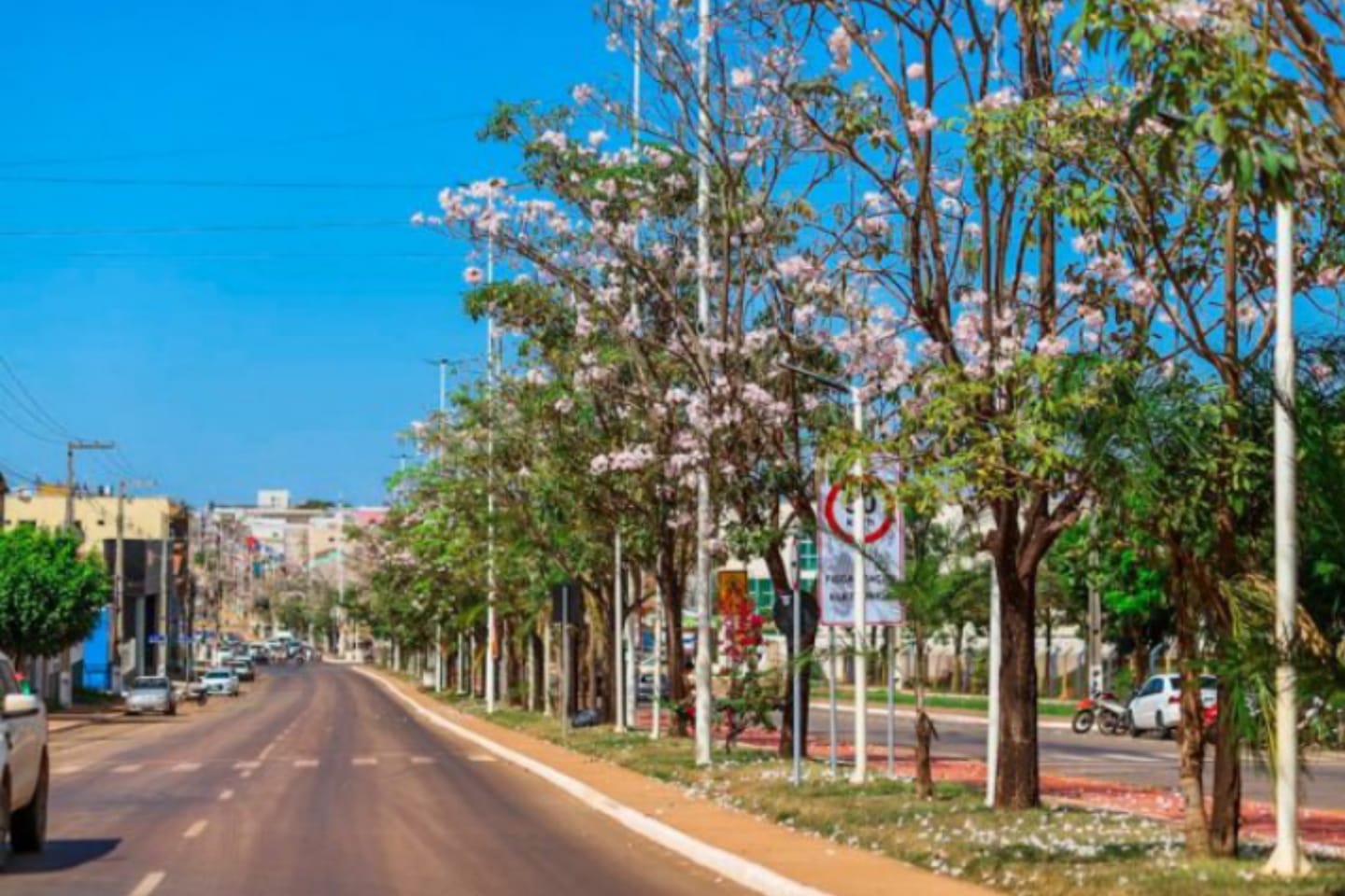 Prefeitura de Canaã dos Carajás cria programa de auxílio e treinamento a desempregados
