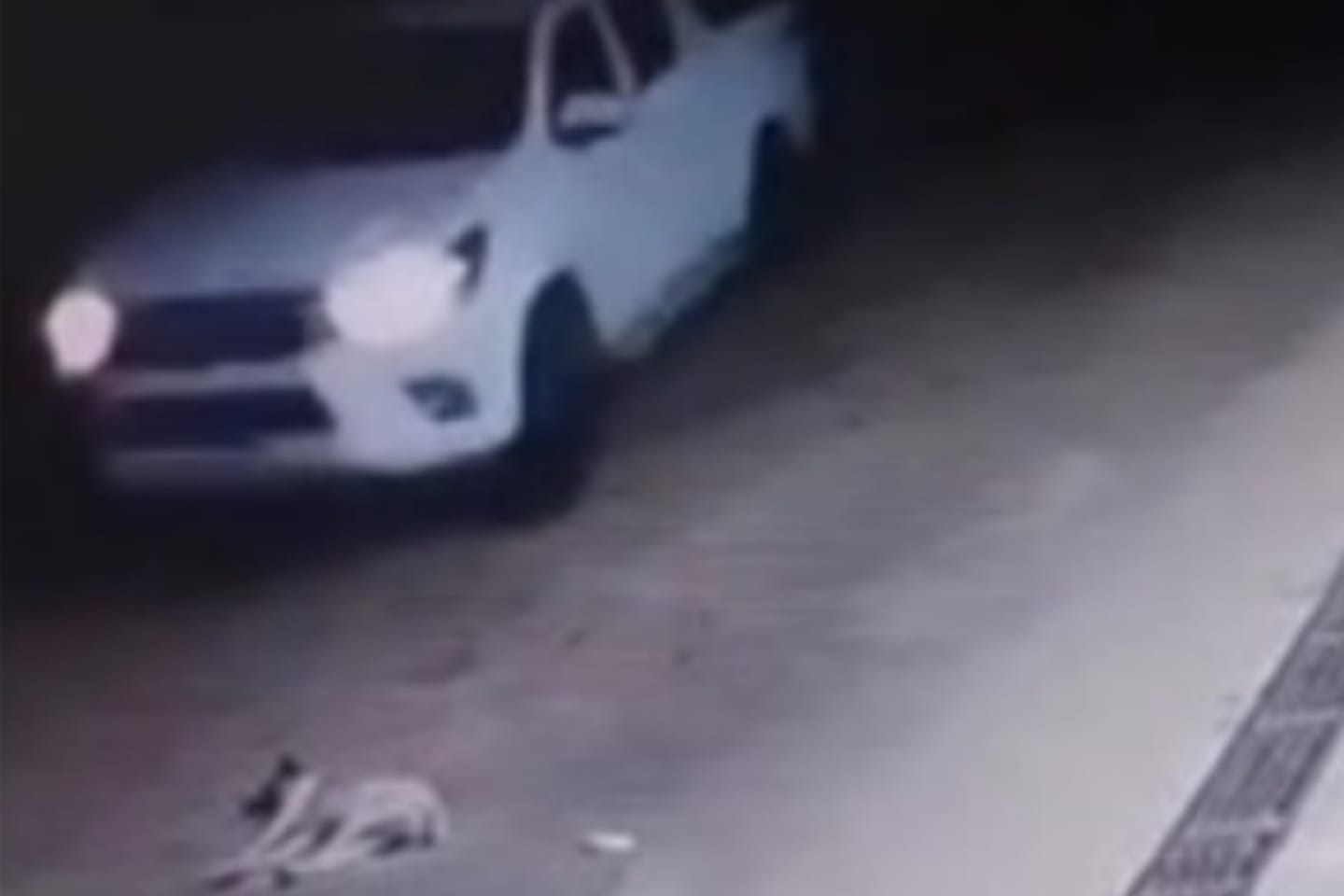 Câmeras flagram motorista atropelando cachorro no Pará