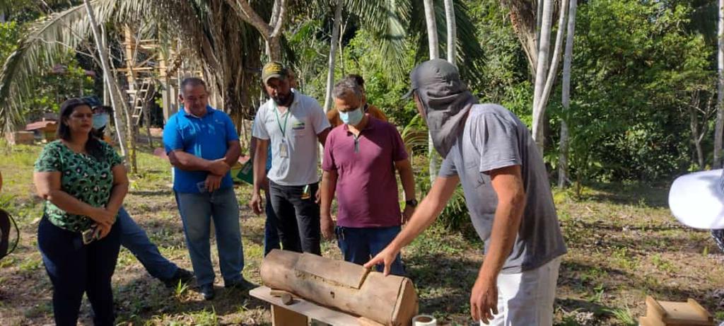Prefeitura de Marabá oferece capacitação em meliponicultura e apicultura para 40 agricultores