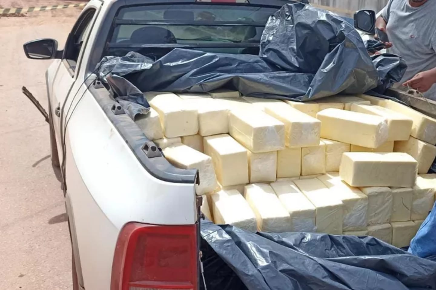 Polícia apreende quase uma tonelada de queijo clandestino no Pará