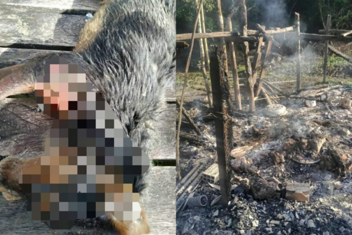 Pistoleiros ameaçam famílias, queimam casas e matam cachorro no Pará