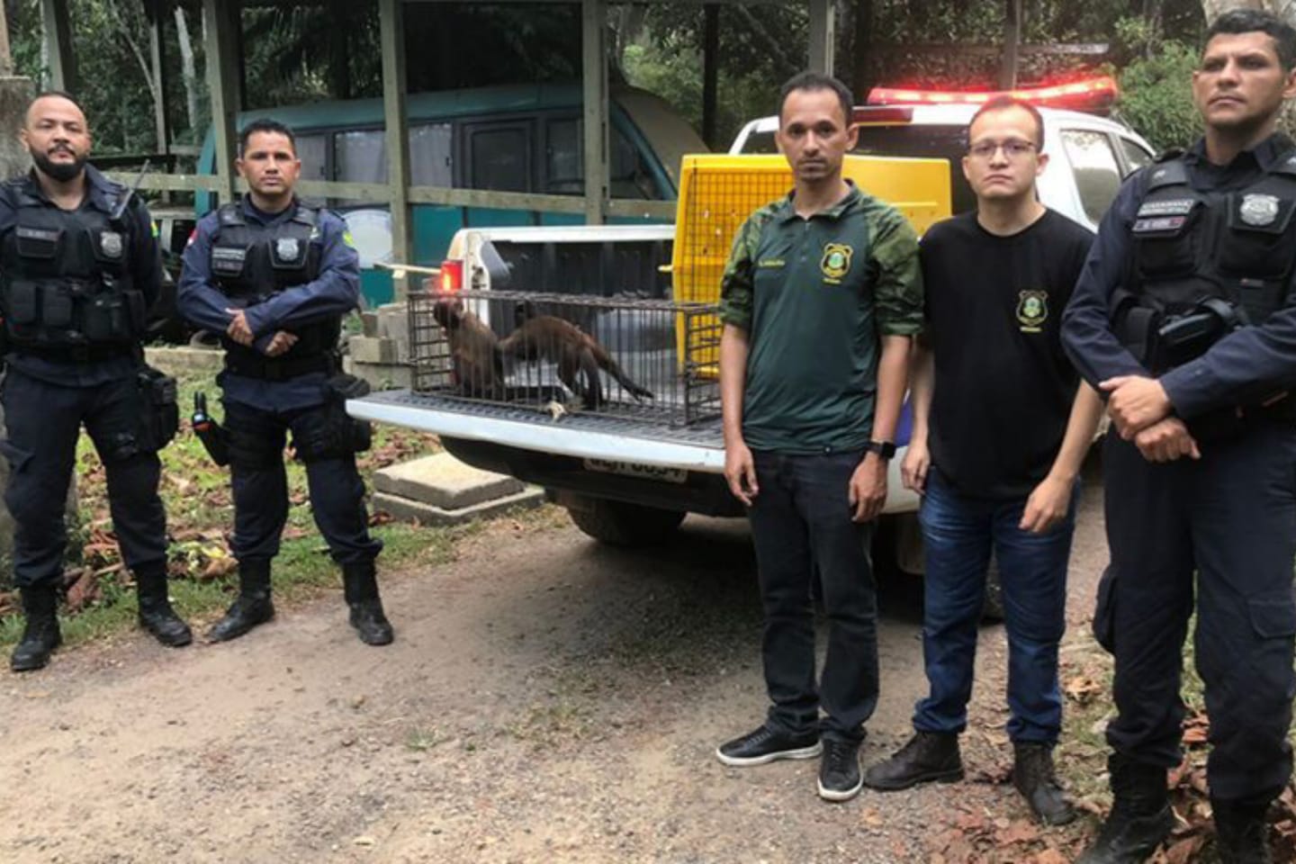 Semma resgata macacos após denúncia de maus-tratos, em Marabá