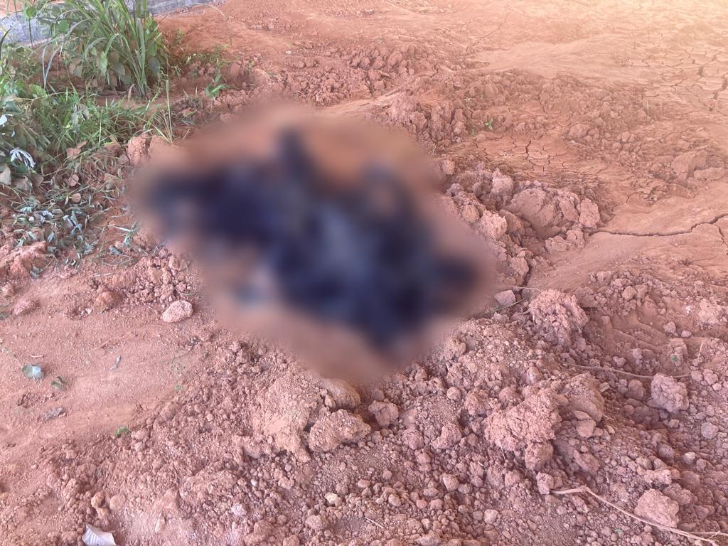 Corpo carbonizado é encontrado sob ponte na Rodovia Transamazônica
