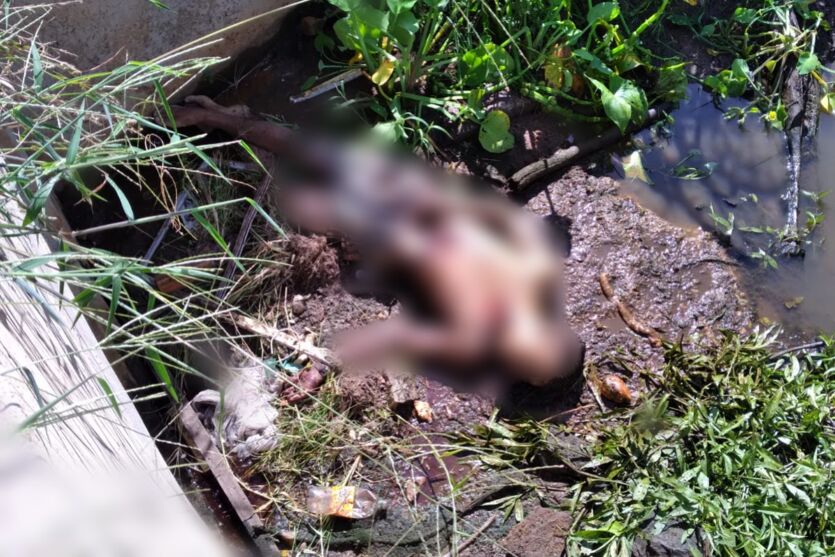 Corpo é desovado dentro de canal em Ananindeua, no Pará
