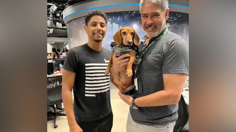 Pet influencer de Marabá invade Jornal Nacional e troca tutor por William Bonner