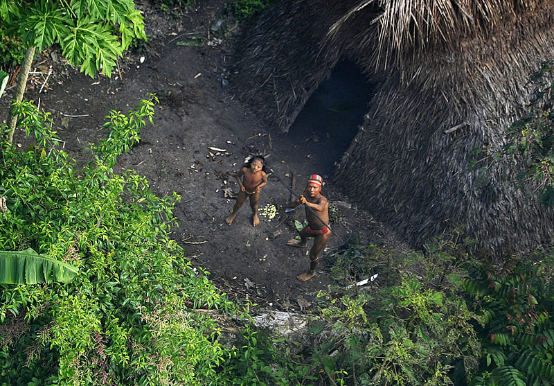 MPF pede suspensão de concessão florestal em área de indígenas isolados