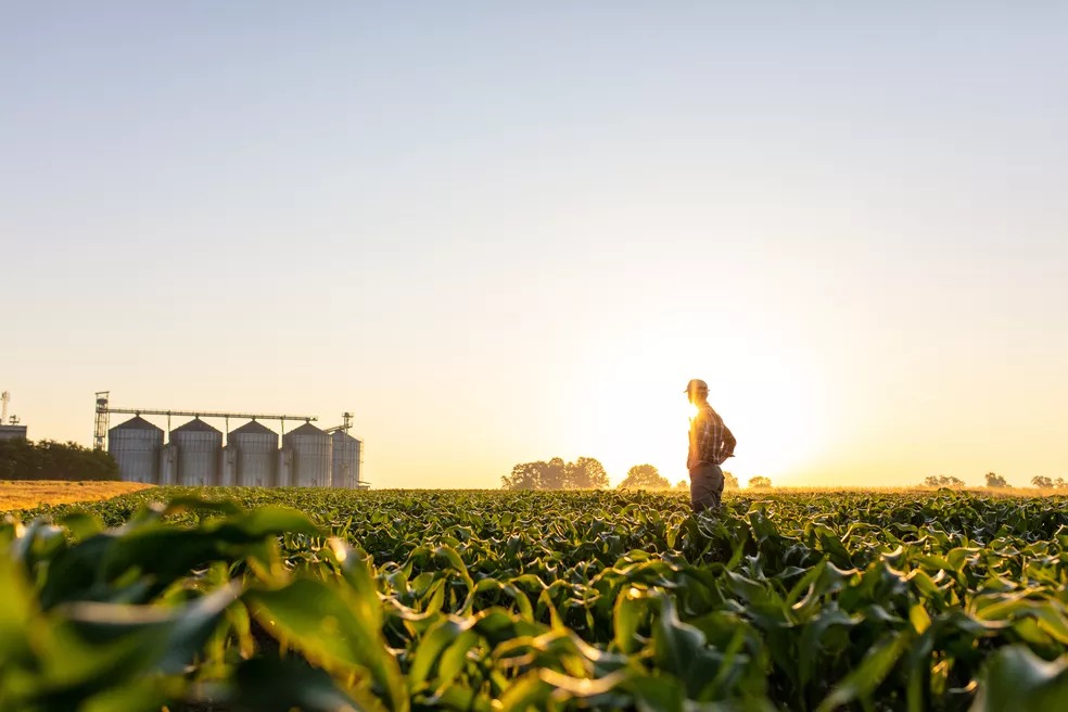 Mais de 2 mil postos de trabalho são gerados pela agropecuária no Pará
