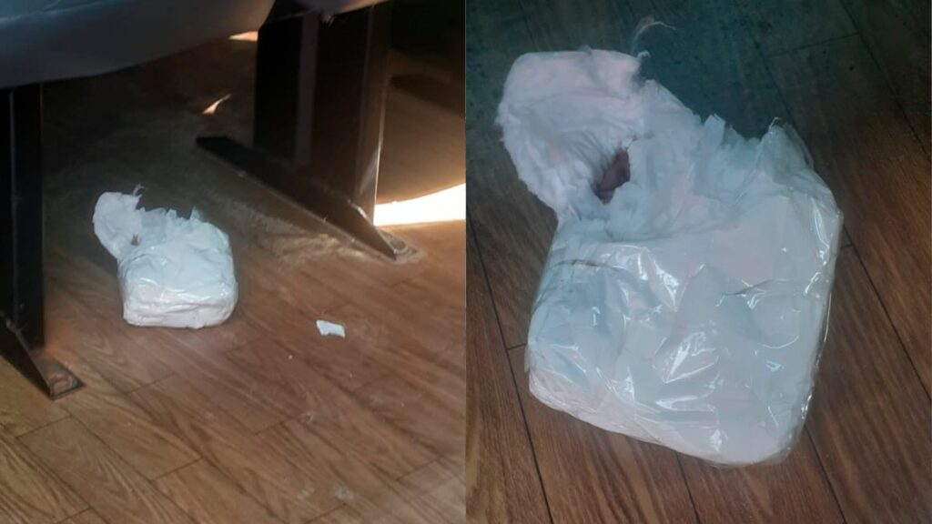 Feto é encontrado em embalagem dentro de van no Pará