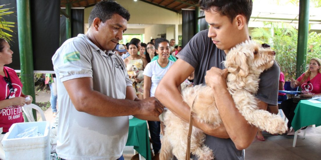 Pets ganham ação do Grupo Somos Todos Protetores de Animais no Bairro Araguaia