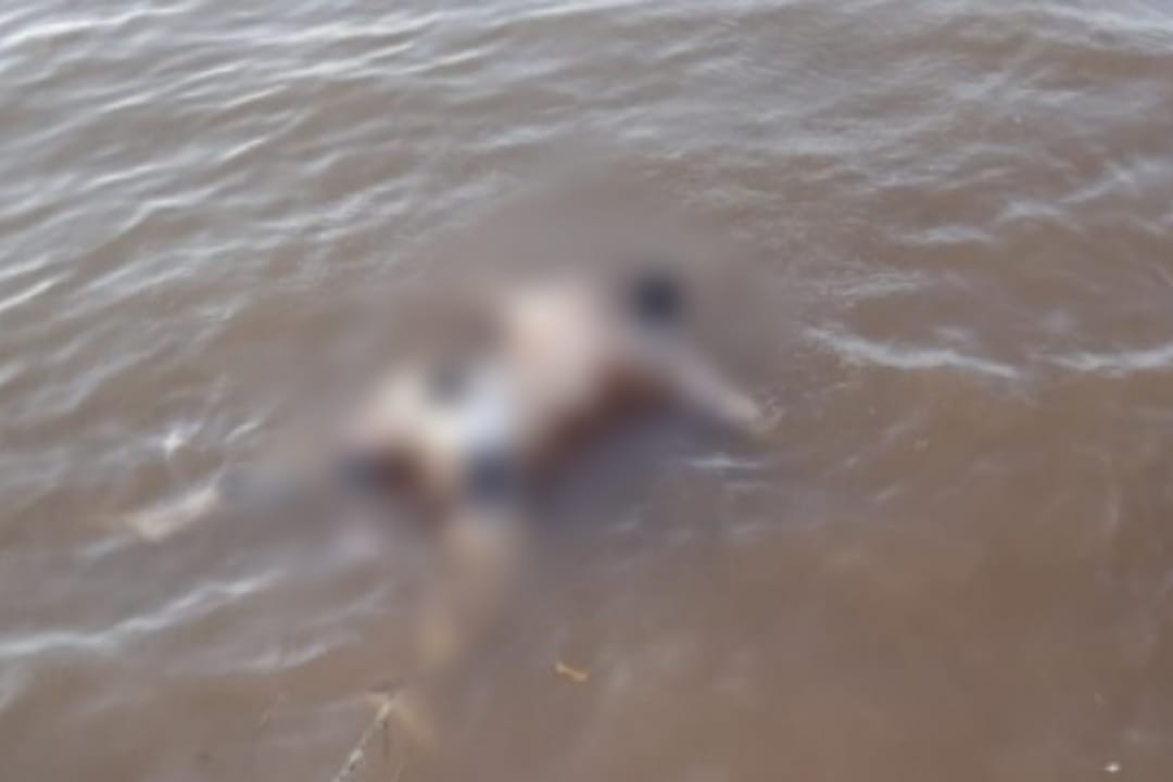 Corpo é encontrado amarrado em tronco à beira do rio na Ilha do Marajó