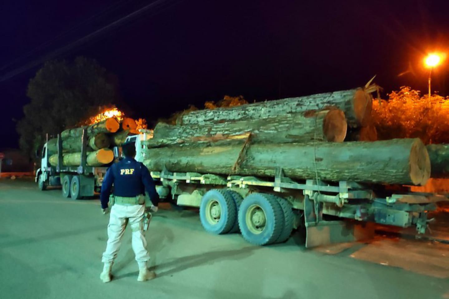 PRF apreende 40 m³ de madeira ilegal no sudoeste do Pará