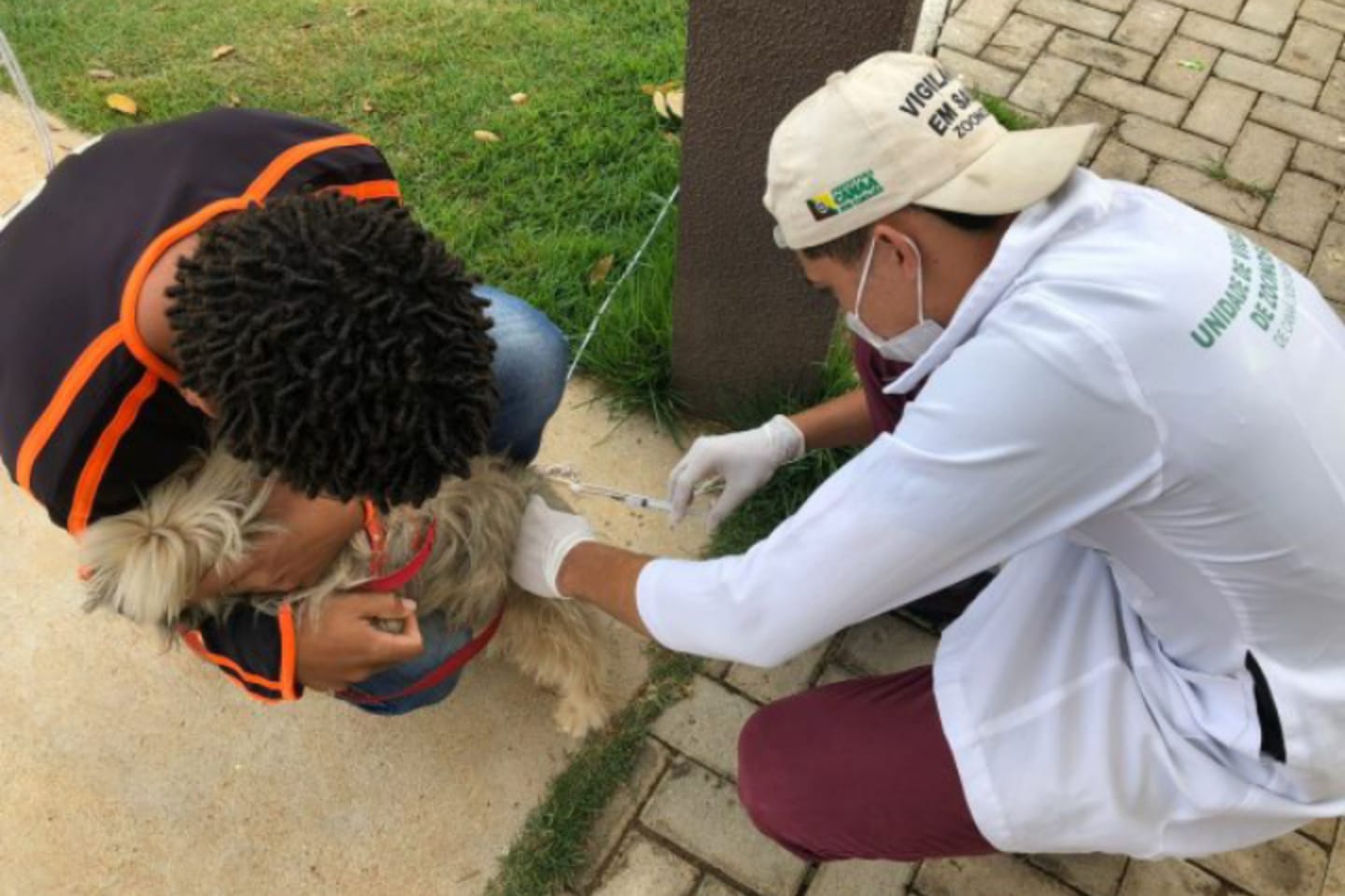 Centro de Zoonoses disponibiliza 300 doses da vacina antirrábica em Canaã dos Carajás