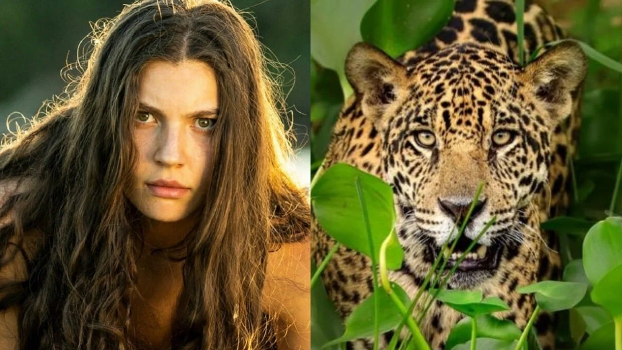 Pantanal: jurada de morte, Juma se transforma em onça e mata Solano