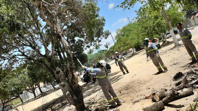 Equatorial realiza mais de 2 mil podas de árvores em Marabá