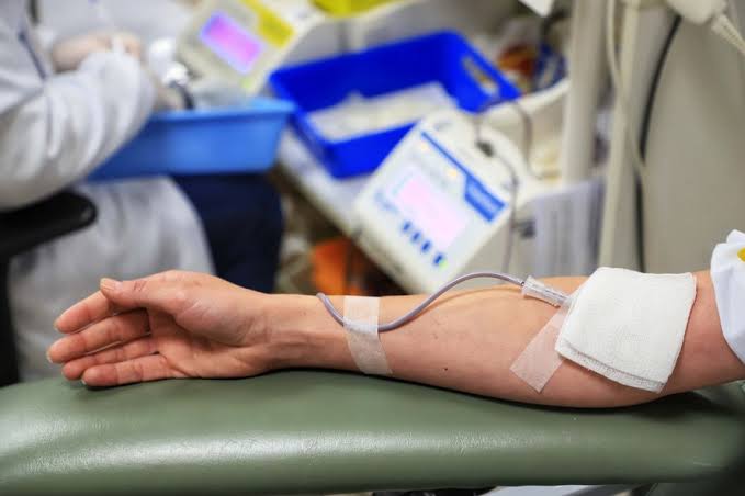 Hemopa registra aumento de 6% na doação de sangue
