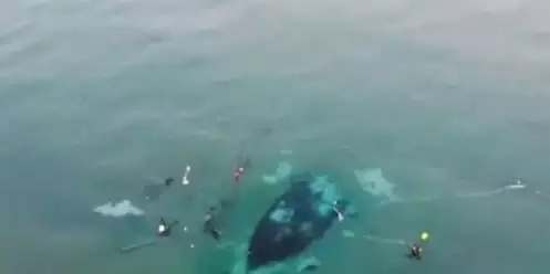 Mergulhadores encontram navio naufragado há 1.200 anos na costa de Israel