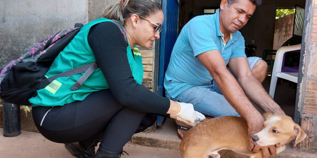 Marabá não apresenta casos de raiva em cães e gatos há 10 anos