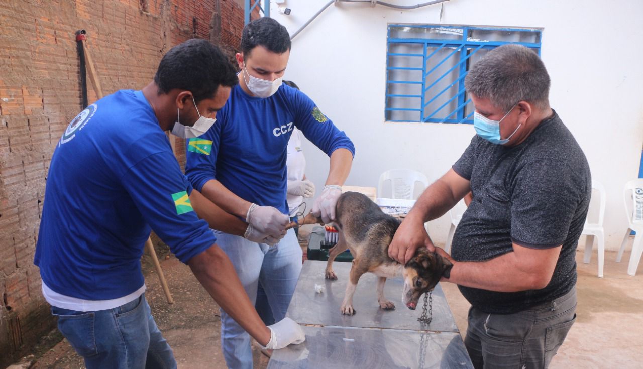Marabá inicia campanha de vacinação contra a raiva nesta segunda-feira (19)