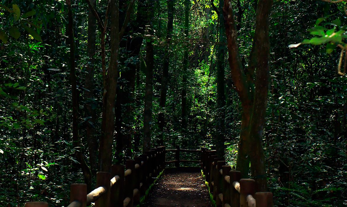 Presidente sanciona redução da Floresta Nacional de Brasília