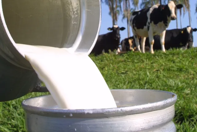 Prefeitura de Marabá quer potencializar produção leiteira no município