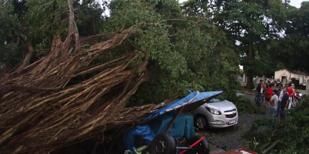 Tempestade derruba árvores e destelha casas no nordeste do Pará