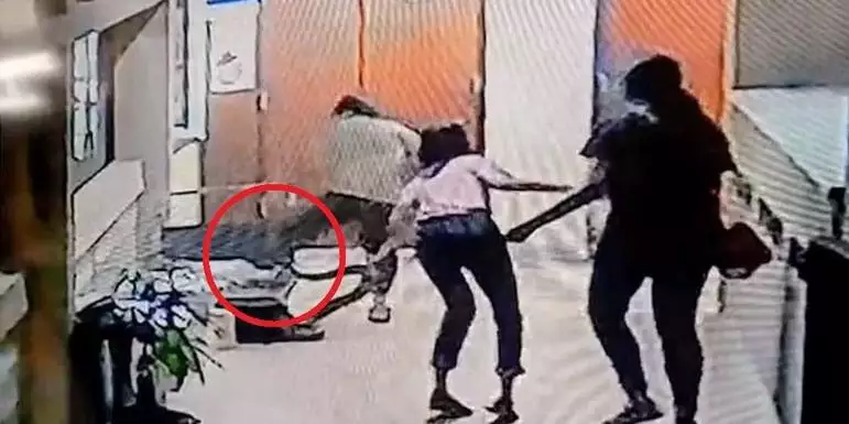 VÍDEO: Serpente se esconde em escritório e ataca funcionária