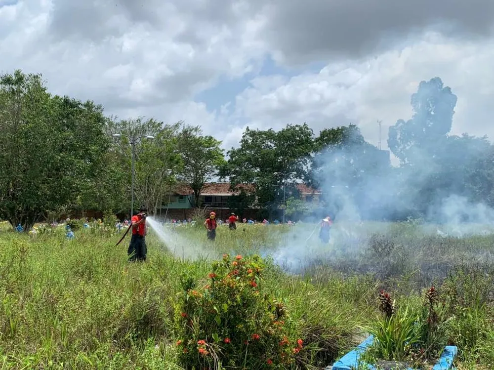 Família solta fogos de artifício em enterro e gera incêndio em cemitério no Pará