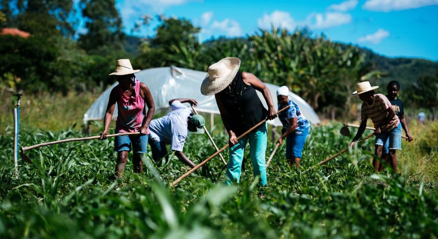 Agricultura familiar terá novo cadastro a partir desta terça-feira