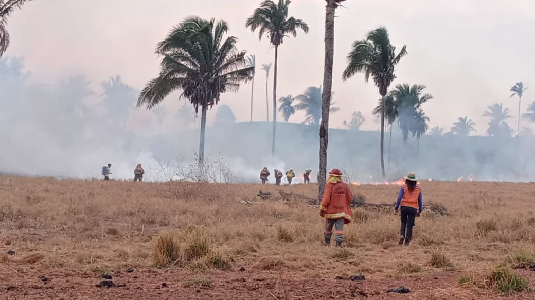 Incêndio atinge floresta do Parque Serra das Andorinhas