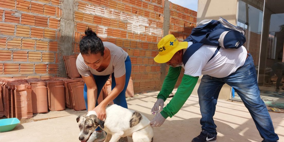 Marabá tem meta de vacinar 38 mil animais contra a raiva