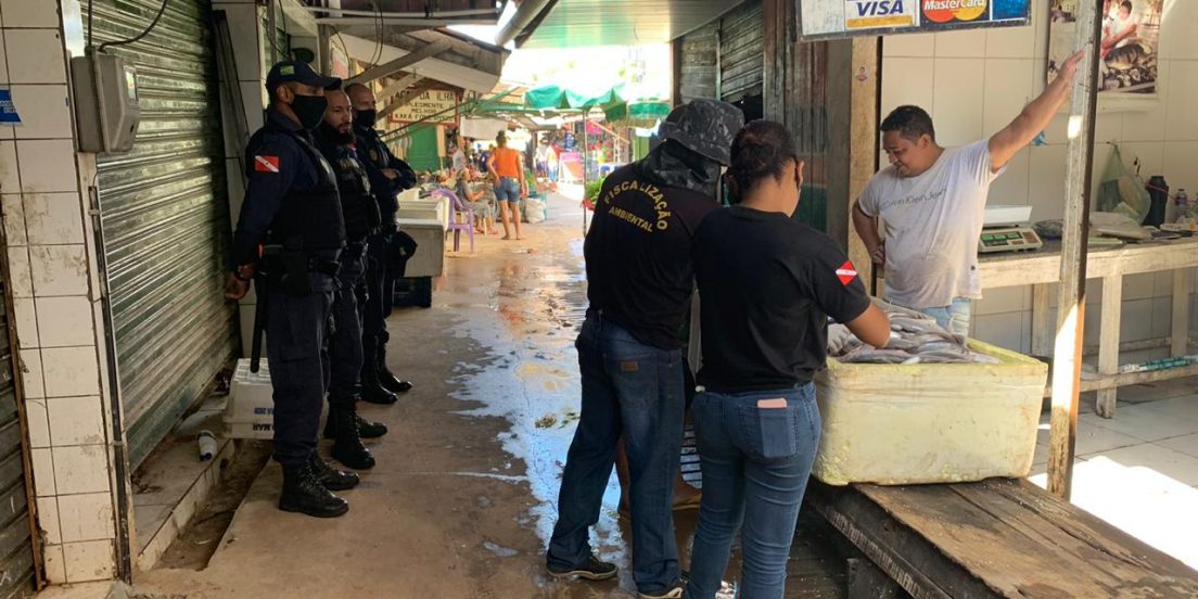 Comerciantes devem informar estoque de pescado antes da piracema em Marabá