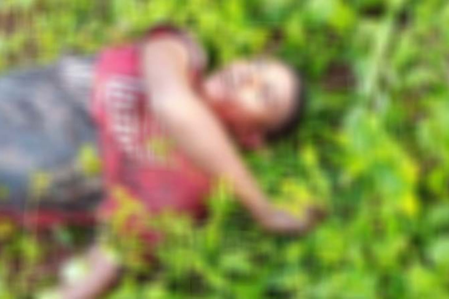 Homem é morto a facadas no oeste do Pará
