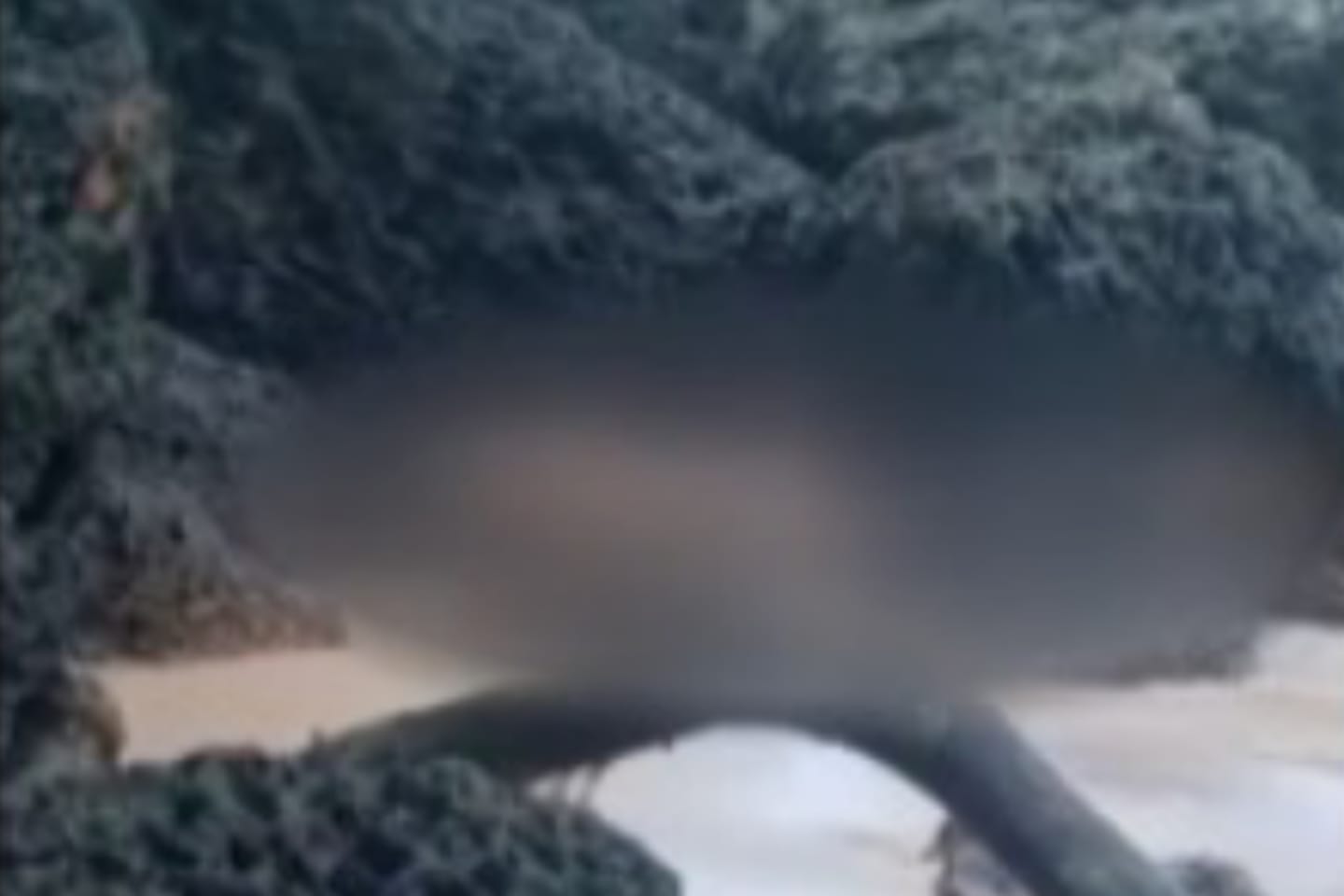 Mulher é encontrada morta em praia de Outeiro