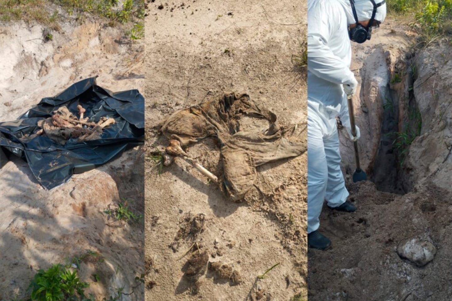 Ossada humana é encontrada em sítio no interior do Pará