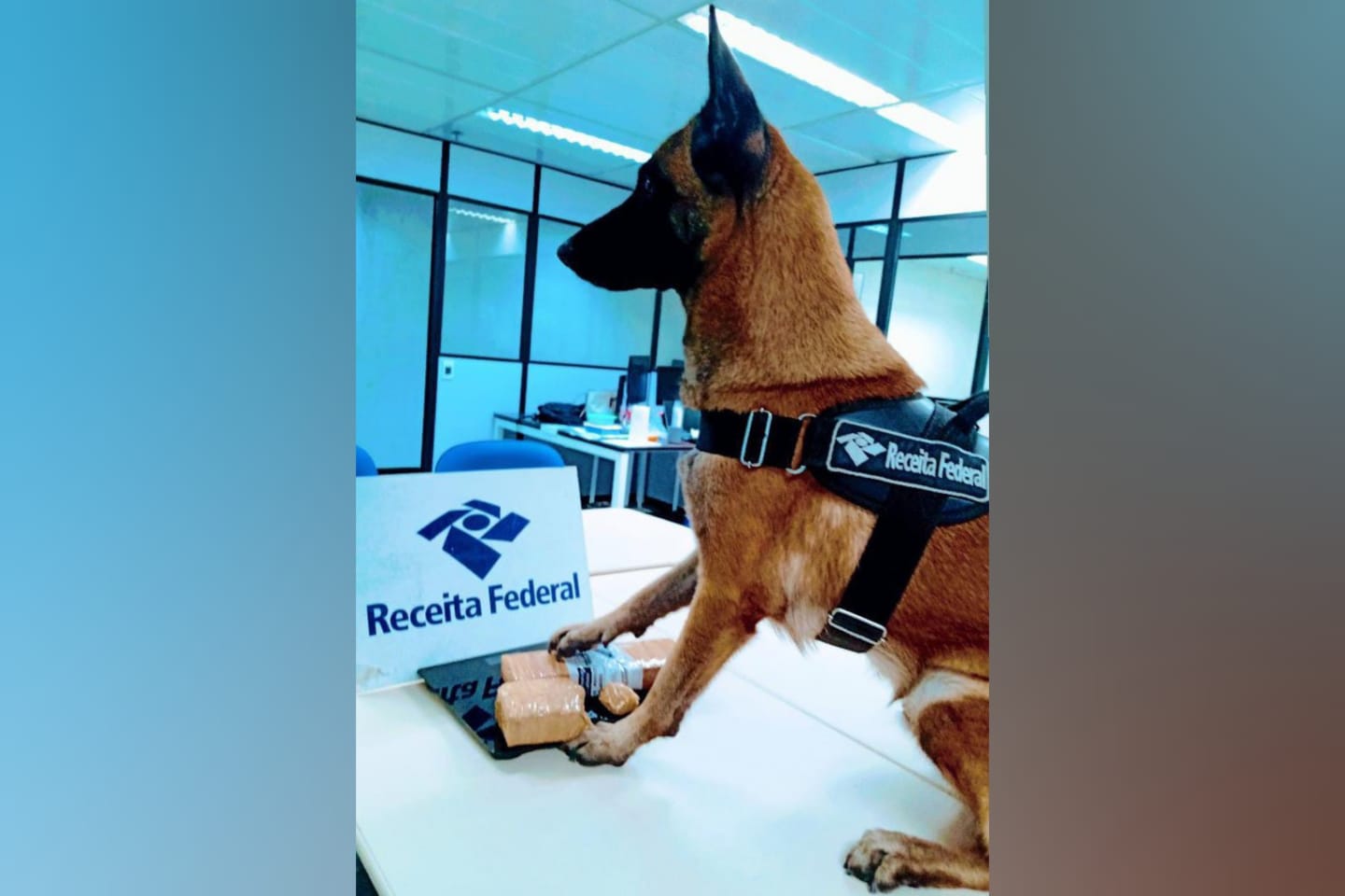 Receita Federal apreende 41kg de drogas em encomendas postais no Pará
