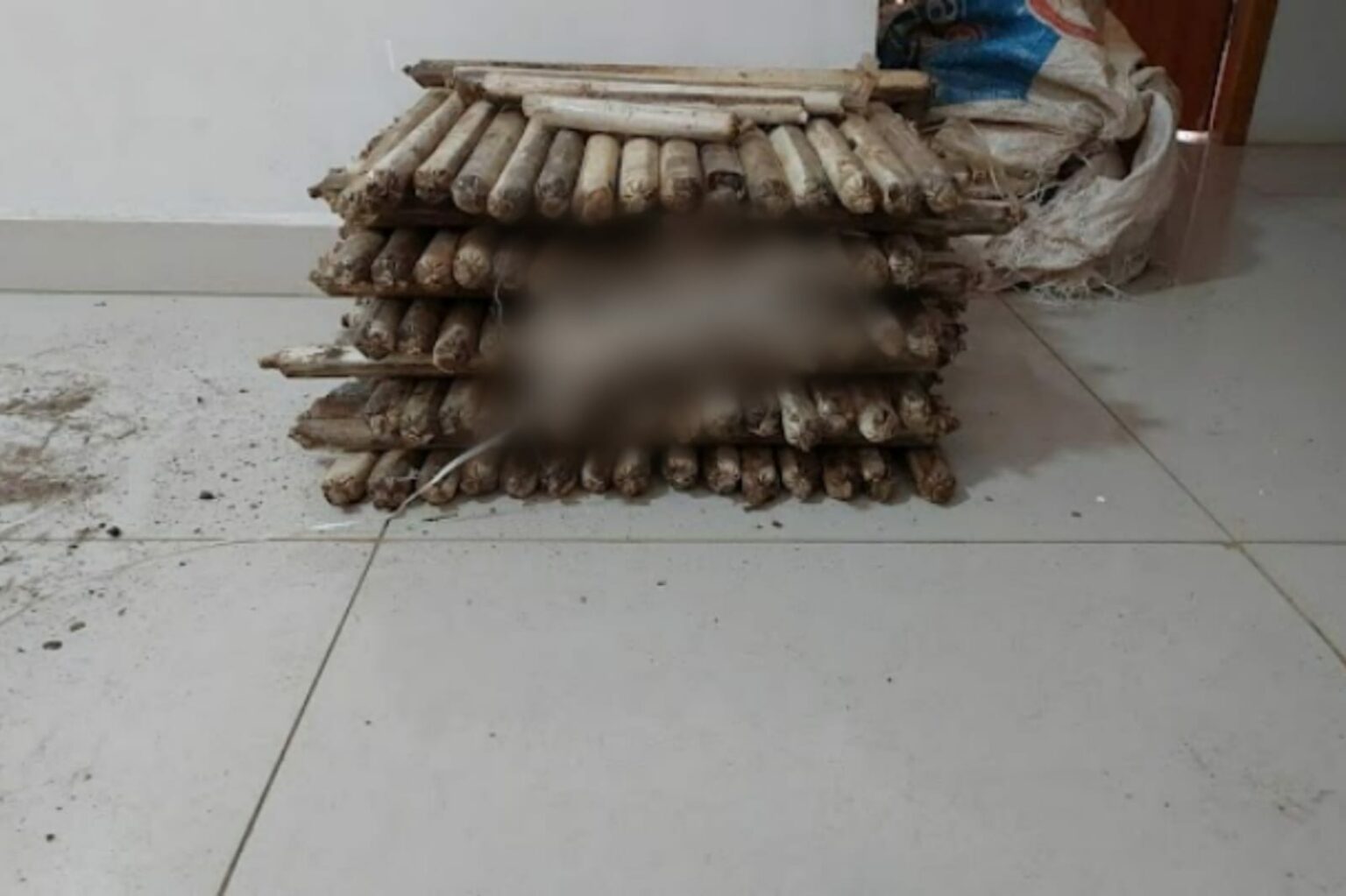 Homem é preso com 137 bananas de dinamite em Parauapebas