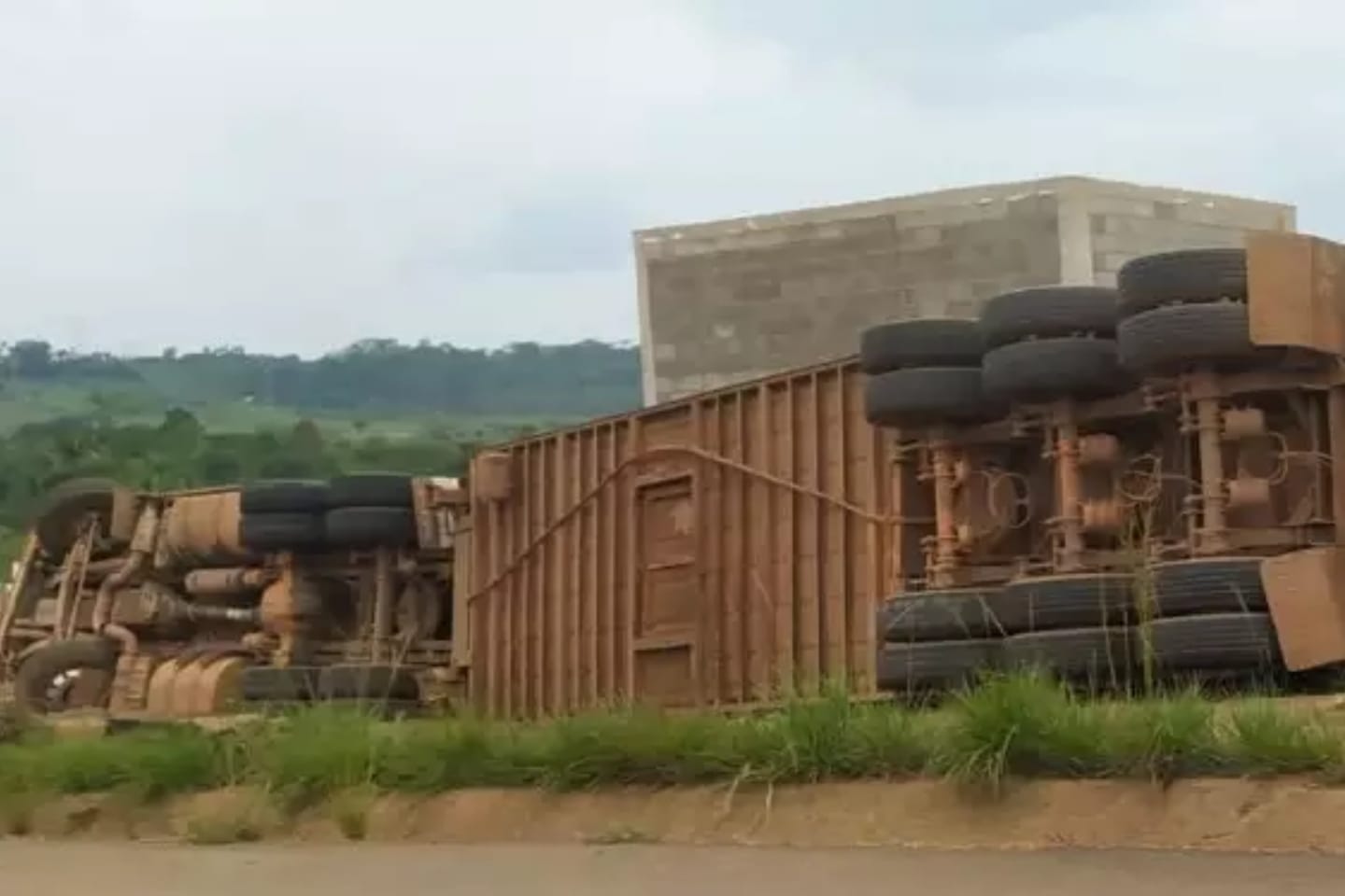 Motorista morre após caminhão com bois tombar no Pará