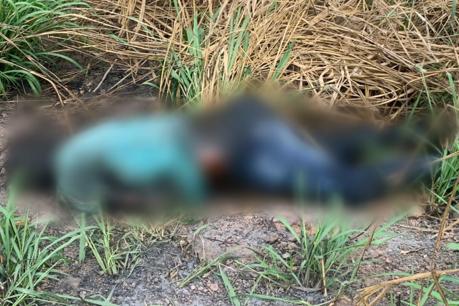Corpo de motorista de aplicativo desaparecido é encontrado carbonizado