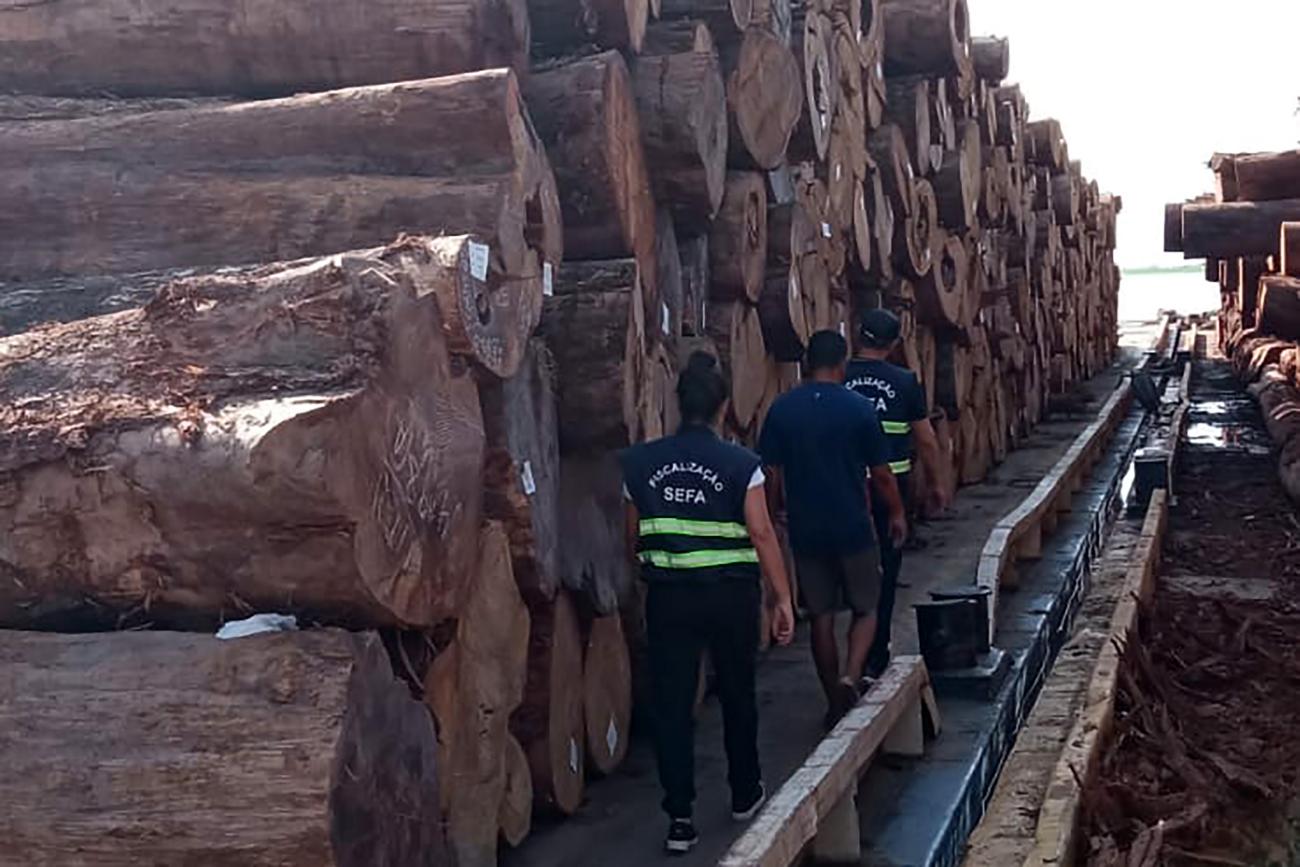 Fiscalização apreende mais de 2 mil metros cúbicos de madeira no oeste do Pará
